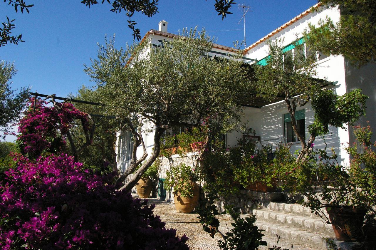 Il Rifugio B&B Capri Anacapri (Isola di Capri) Exterior foto