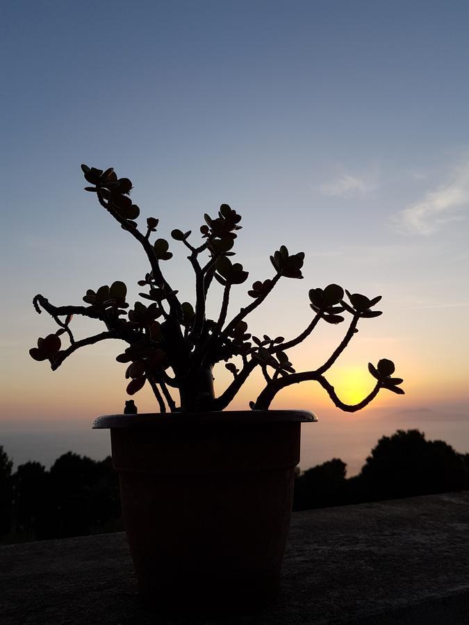 Il Rifugio B&B Capri Anacapri (Isola di Capri) Exterior foto